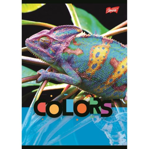 Zeszyt Unipap EXOTIC COLORS A5 32k. krata Zeszyt Unipap EXOTIC COLORS A5 32k. krata