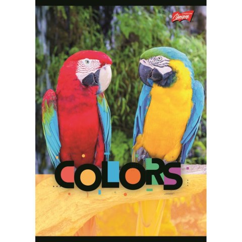 Zeszyt Unipap EXOTIC COLORS A5 32k. krata Zeszyt Unipap EXOTIC COLORS A5 32k. krata
