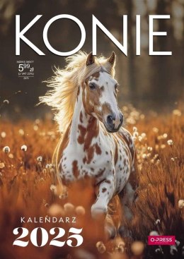 Kalendarz ścienny A4 Press KONIE A4 (5904830713398)