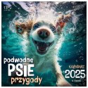 Kalendarz ścienny PSY POD WODĄ 33x33 330mm x 330mm Press