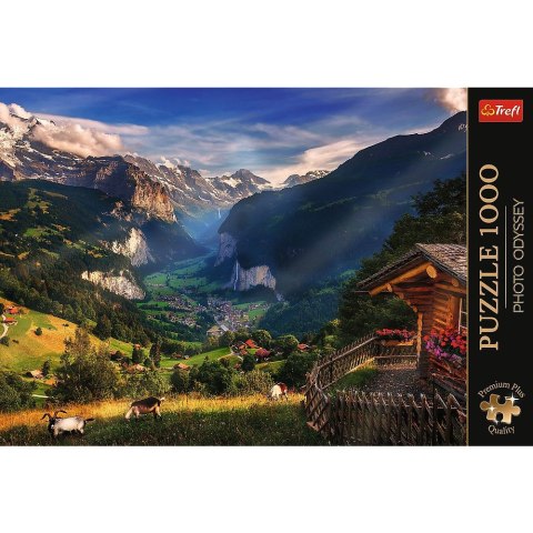 Puzzle Trefl Premium Plus 1000 el. (10821) Puzzle Trefl Premium Plus 1000 el. (10821)
