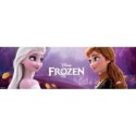 Lalka Mattel Disney Frozen Lalka Elsa śpiewająca [mm:] 290 (HXD35)