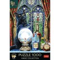 Puzzle Trefl Magic Collection Premium Plus Uczeń czarownicy 1000 el. (10898)