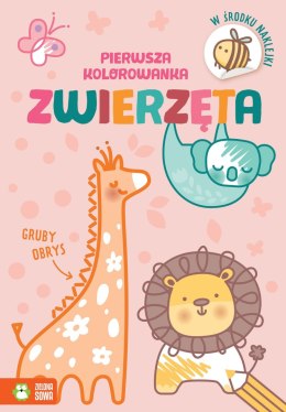 Książeczka edukacyjna Zielona Sowa Pierwsza kolorowanka.Gruby obrys. Zwierzęta