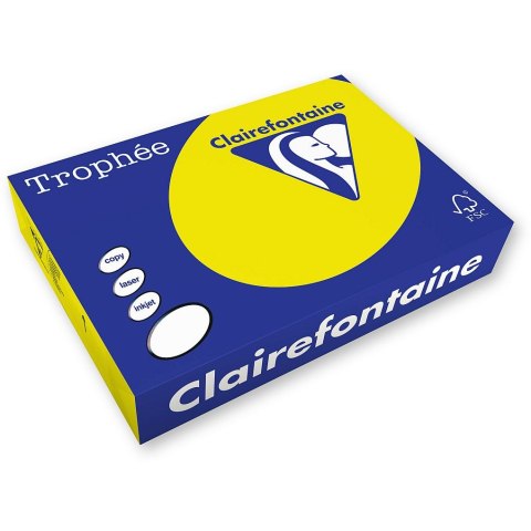 Papier kolorowy Trophee A4 słoneczny 210g (2210)