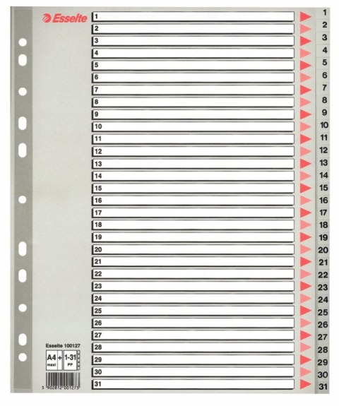 Przekładka numeryczna Esselte A4 szara 31k 1-31 (100127)