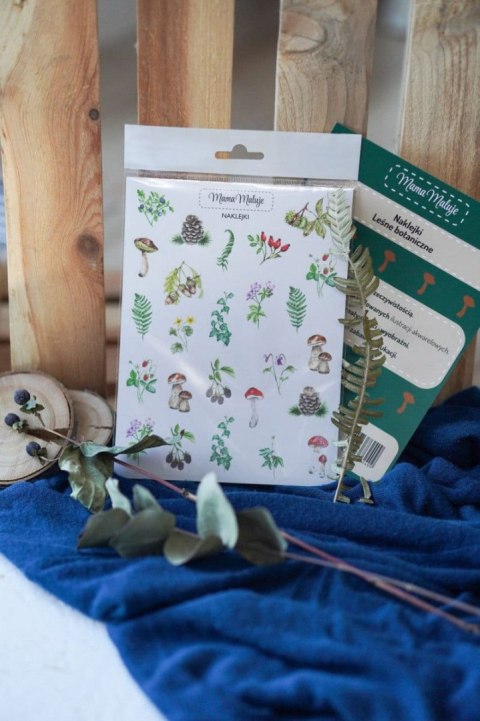 Naklejka (nalepka) leśne botaniczne Naklejka (nalepka) leśne botaniczne