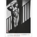Kalendarz ścienny EROTIC ART wieloplanszowy 350mm x 300mm Jotan (WP147)