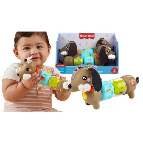 Zabawka edukacyjna jamnik aktywizujący Fisher Price (HTW91) Zabawka edukacyjna jamnik aktywizujący Fisher Price (HTW91)