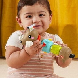 Zabawka edukacyjna jamnik aktywizujący Fisher Price (HTW91) Zabawka edukacyjna jamnik aktywizujący Fisher Price (HTW91)
