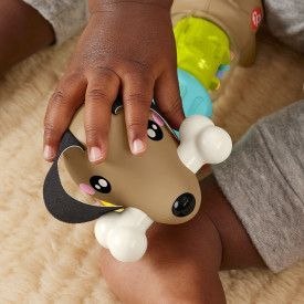 Zabawka edukacyjna jamnik aktywizujący Fisher Price (HTW91) Zabawka edukacyjna jamnik aktywizujący Fisher Price (HTW91)