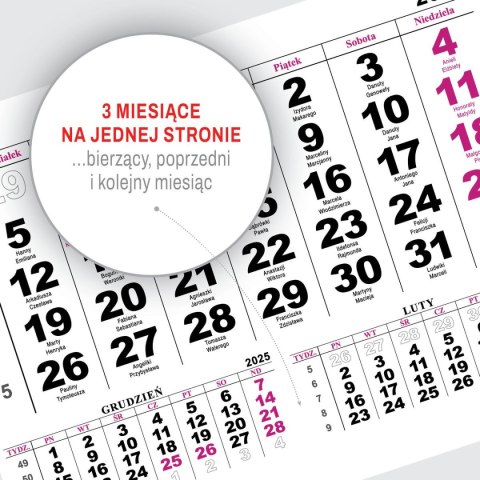 Kalendarz ścienny JEDNODZIELNY WIDOK A4 210mm x 295mm Press