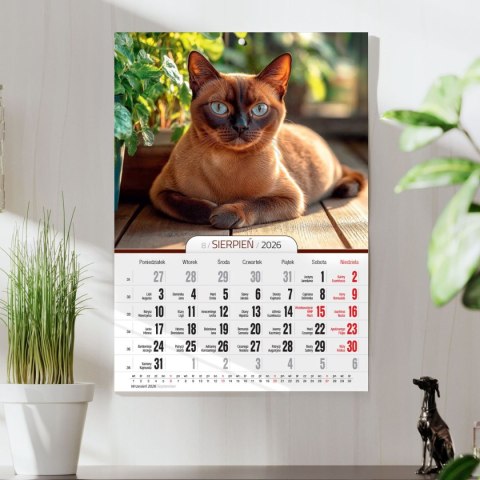 Kalendarz ścienny A4 KOTY A4 Press (5904830713381)