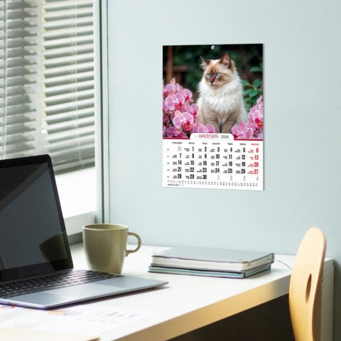 Kalendarz ścienny A4 KOTY A4 Press (5904830713381)