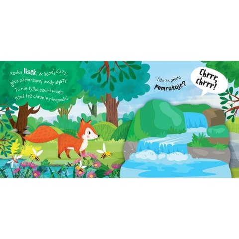 Książka dla dzieci A kuku! W lesie. Filcowe klapki i lusterko Książka dla dzieci A kuku! W lesie. Filcowe klapki i lusterko