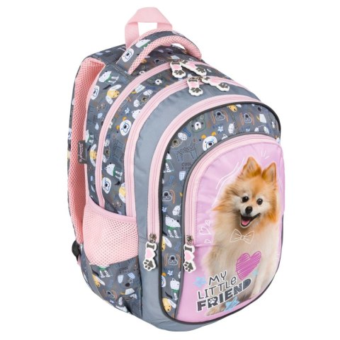 Plecak MLF SWEET POMERANIAN 4 KOMORY St.Majewski (bpl-58) Plecak MLF SWEET POMERANIAN 4 KOMORY St.Majewski (bpl-58)