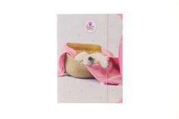Teczka kartonowa na gumkę THE SWEET PETS - KIDS A4 mix Beniamin (5962)
