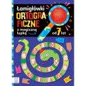 Książka dla dzieci Łamigłówki ortograficzne Aksjomat Książka dla dzieci Łamigłówki ortograficzne Aksjomat