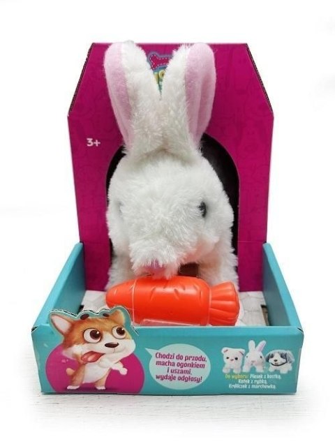 Pluszak interaktywny królik chodzący z marchewką Artyk (176609)