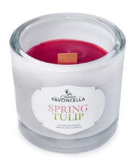 Świeczka ozdobna Classico Spring Tulip biała 170g Pavoncella (5905711530974)