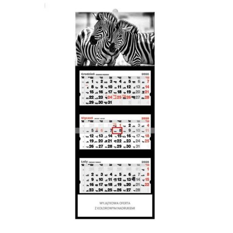 Kalendarz ścienny ZEBRY trójdzielne 320mm x 855mm Jotan (T61)