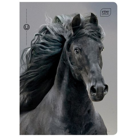 Zeszyt A5 32k. 70g linia Interdruk (ZE60#405B)