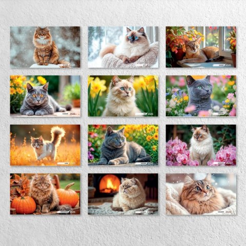 Kalendarz ścienny KOTY 33x33 330mm x 330mm Press