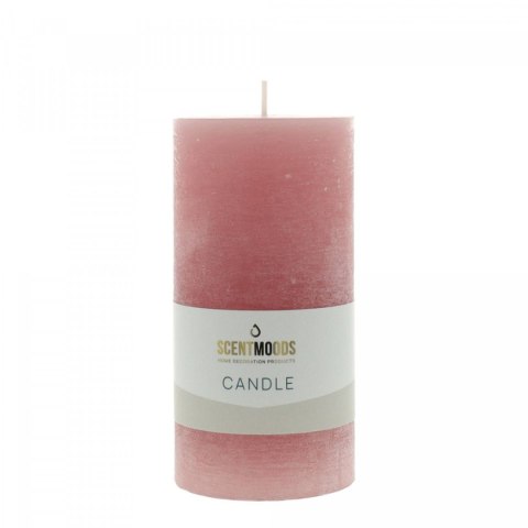 Świeca pieńkowa 6,3X12,5cm w kolorze Coral [mm:] 125 śr. 60mm Pavoncella (8720935401308)