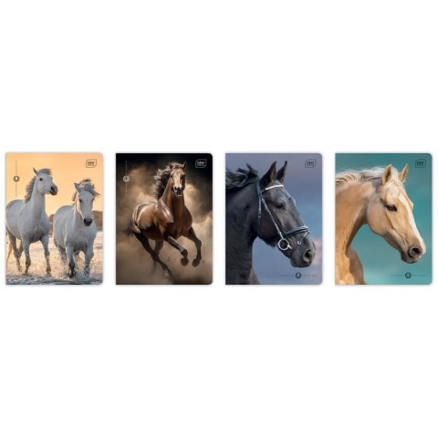 Zeszyt A5 16k. 70g krata Interdruk (ZE16KFK)