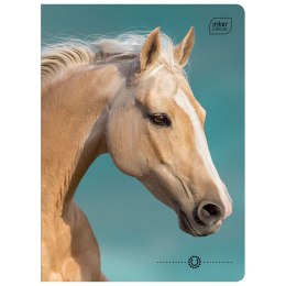 Zeszyt A5 16k. 70g krata Interdruk (ZE16KFK)