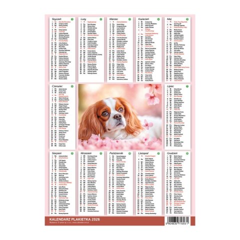 Kalendarz ścienny MIX 250mm x 353mm Press