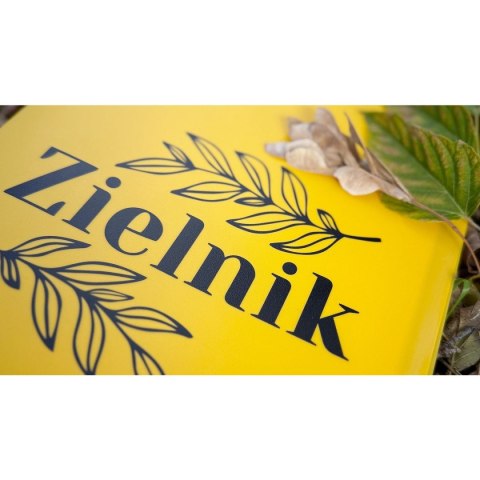 Teczka ofertowa Zielnik A4 kolor: żółty Biurfol (ZIEL-A4-01) Teczka ofertowa Zielnik A4 kolor: żółty Biurfol (ZIEL-A4-01)