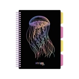 Kołozeszyt (kołonotatnik) PADS GŁEBINY MEDUZA B5 100k. 80g krata Strigo (PADS062)