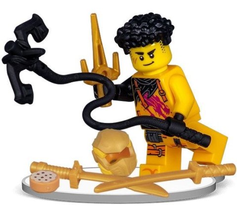 Książeczka edukacyjna LEGO® NINJAGO®. Wyprawa ninja Ameet (LNC 6738) Książeczka edukacyjna LEGO® NINJAGO®. Wyprawa ninja Ameet (LNC 6738)