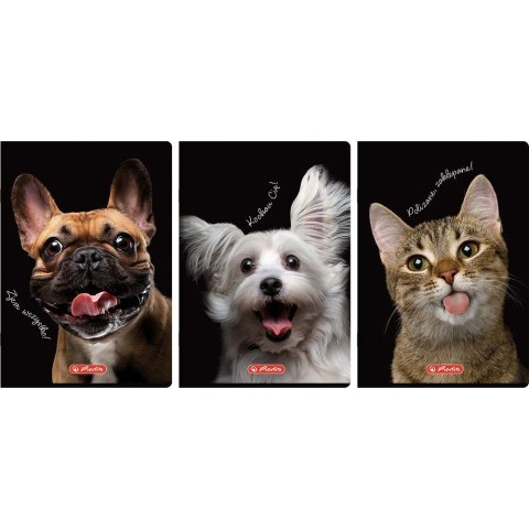 Zeszyt Crazy Animal A4 60k. 70g krata Herlitz (400196844) Zeszyt Crazy Animal A4 60k. 70g krata Herlitz (400196844)