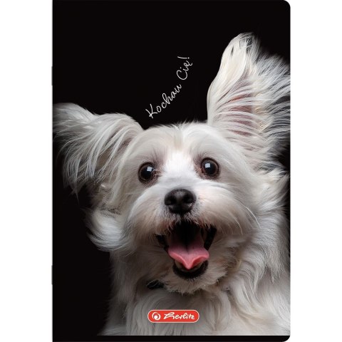 Zeszyt Crazy Animal A4 60k. 70g krata Herlitz (400196844) Zeszyt Crazy Animal A4 60k. 70g krata Herlitz (400196844)