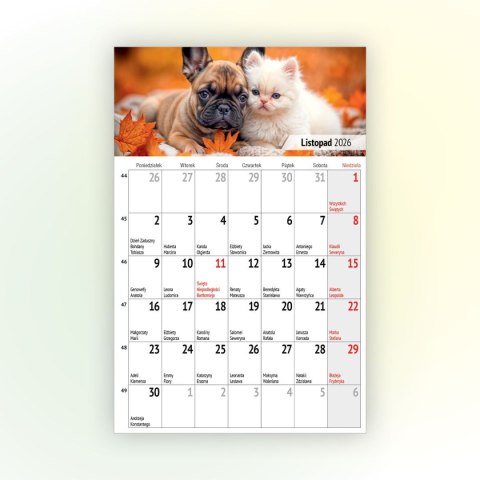 Kalendarz ścienny na lodówkę z magnesem 137mm x 210mm Press (MILUSIŃSCY)