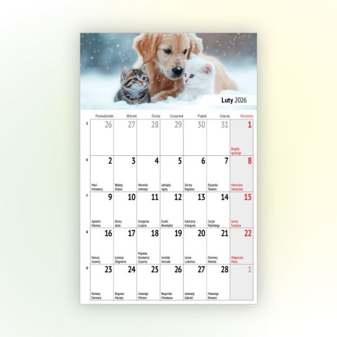 Kalendarz ścienny na lodówkę z magnesem 137mm x 210mm Press (MILUSIŃSCY)