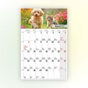 Kalendarz ścienny na lodówkę z magnesem 137mm x 210mm Press (MILUSIŃSCY)