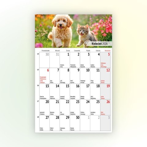 Kalendarz ścienny na lodówkę z magnesem 137mm x 210mm Press (MILUSIŃSCY)