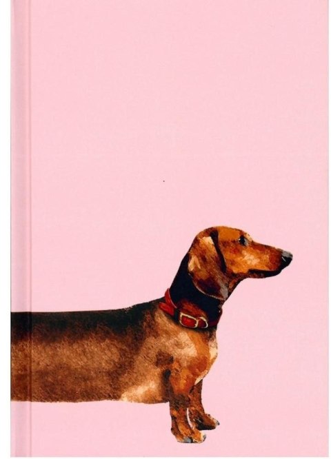 Notes (notatnik) Jamnik A5 64k. linia Sztuka Rodzinna