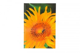 Brulion mix A4 160k. krata Sdm