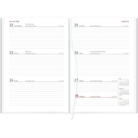 Kalendarz biurkowy CZARNY VIVELLA B5 B5 Wydawnictwo Wokół Nas (A5TO66B-)