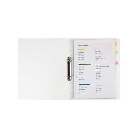 Segregator ringowy PUPPIES A4 mix Biurfol (SEN-A4-36)