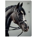 Zeszyt WILD HORSES A5 32k. 70g krata Interdruk