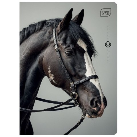 Zeszyt WILD HORSES A5 32k. 70g krata Interdruk