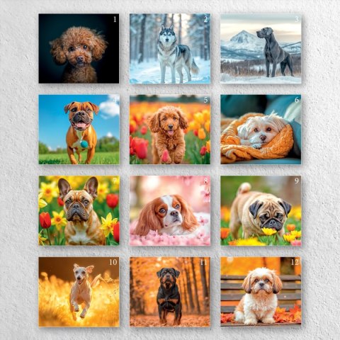 Kalendarz ścienny A4 PSY A4 Press (5904830713374)