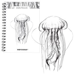 Blok artystyczny szkicownik meduza B5 120g 60k Narcissus