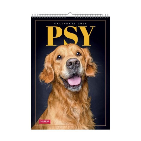 Kalendarz ścienny WIELOPLANSZOWY 16K A3 Press