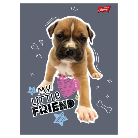 Zeszyt My Little Friend Unipap Zeszyt My Little Friend Unipap